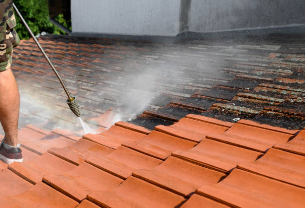 Pressure Washing Services for Businesses in St George, SC